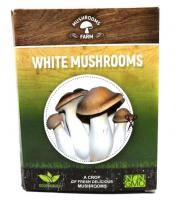Грибы в коробке (белые грибы) Mushrooms Farm