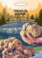 Мицелий грибов Трюфель Белый, 15 гр