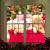 Проектор на окно Star Shower Window Projector 12 фильмов
