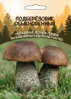 Мицелий грибов Подберезовик обыкновенный, 15 гр