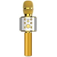 Hoco BK3 Беспроводной караоке микрофон с колонкой, золотой