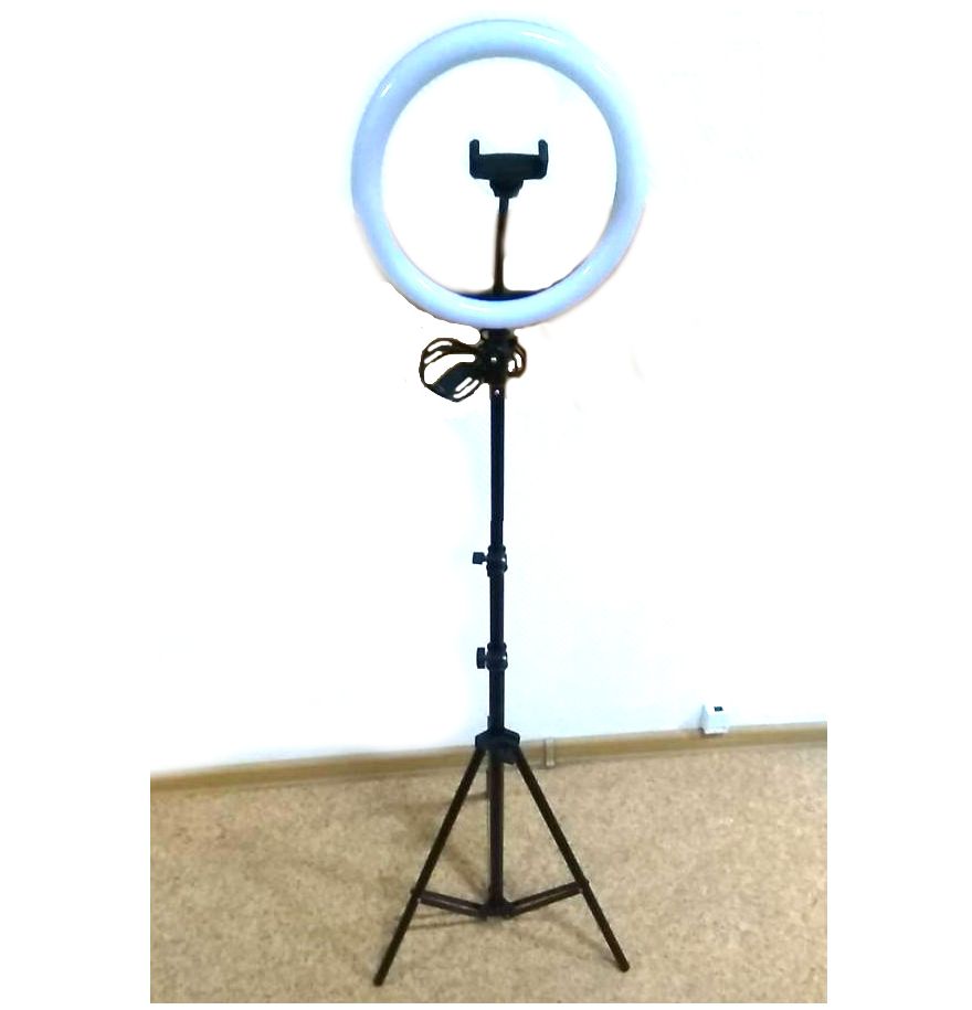 Кольцевая лампа купить озон. Кольцевая лампа со штативом Ritmix RRL-263 26 см+штатив. Кольцевая лампа с держателем для телефона (d-33см)+штатив-трипод 75-210см. Кольцевая лампа FINEPOWER RL-4 [10 дюймов, 3 типа света, штатив напольный). Кольцевая лампа "g 1" диаметром 26 см со штативом 168 см, складная (черный).