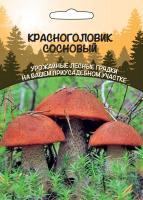 Мицелий грибов Красноголовик сосновый, 15 гр