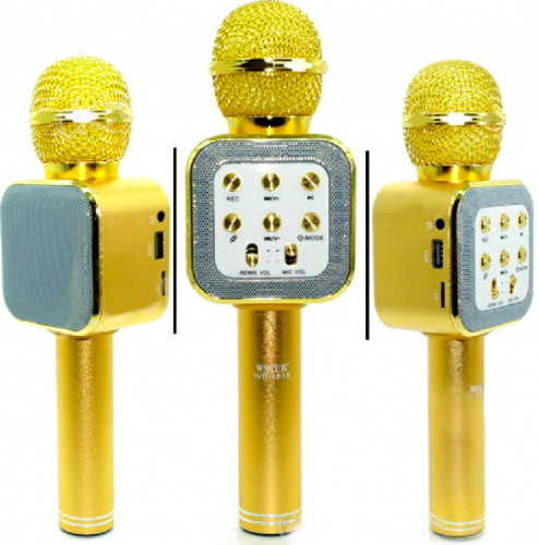 Беспроводной Bluetooth караоке микрофон с колонкой WSTER WS-1818 золотой