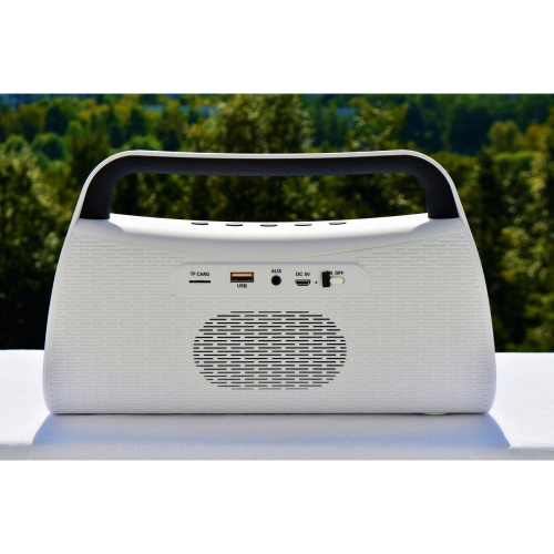 Портативная Bluetooth колонка Music C-93 с FM-радио, белый