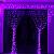 Гирлянда светодиодная Занавес 2.5х2.0 м 240LED, 8 режимов, цвет: фиолетовый