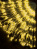 Светодиодный занавес "Водопад", 3x3м, динамический, желтый